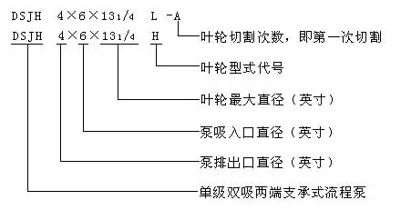 5.webp